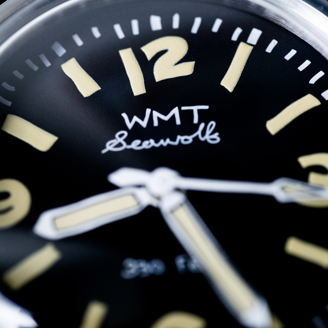 【WMT WATCH】SW0020C / Shipping Date 3〜4 Days Laterの画像