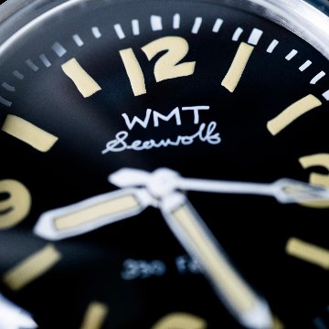 【WMT WATCH】SW0020C / Shipping Date 3〜4 Days Laterの画像