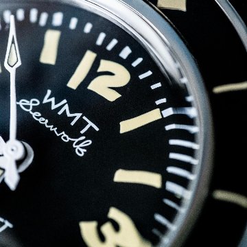 【WMT WATCH】SW0020C / Shipping Date 3〜4 Days Laterの画像