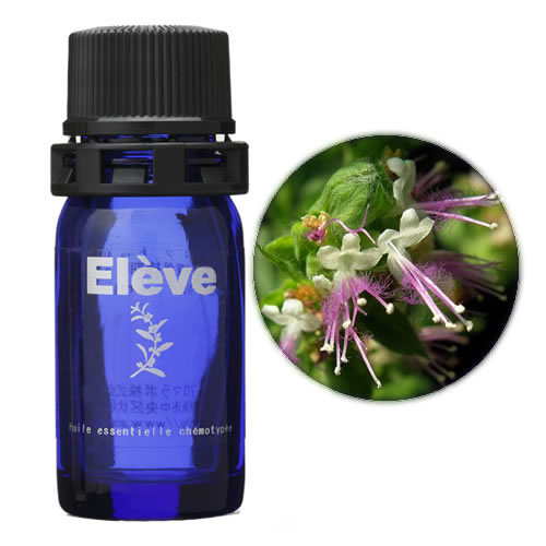 パチュリの画像