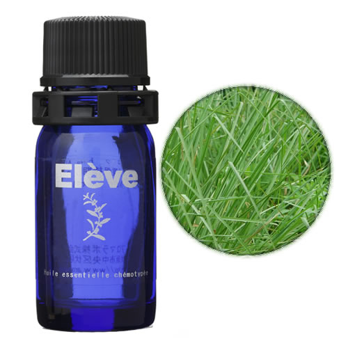 ベチバーの画像