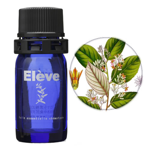 ベンゾインの画像