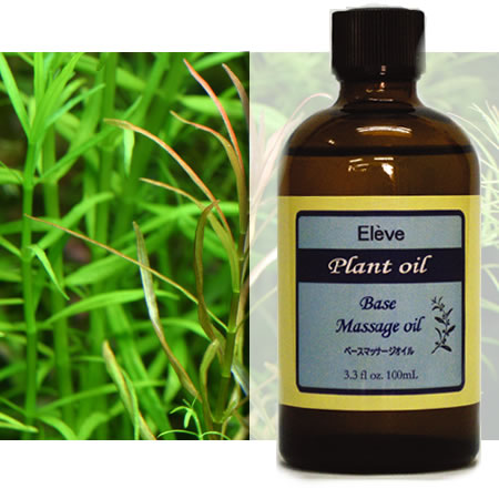 プランツオイルの画像