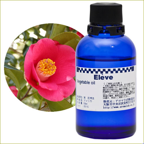 国産ツバキの画像