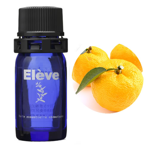 スペシャルゆずブレンドの画像