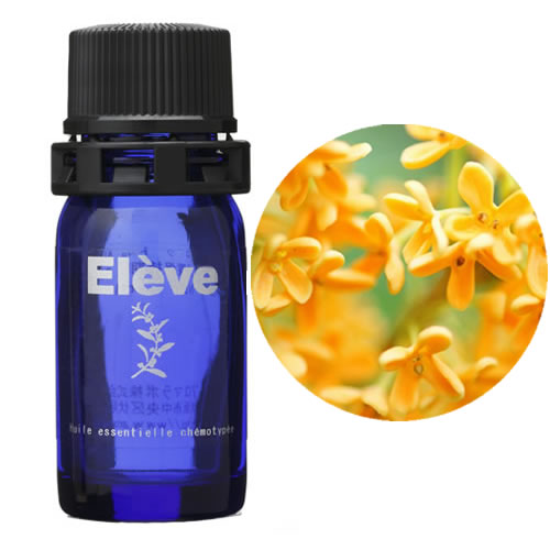 キンモクセイブレンドの画像