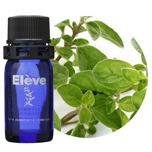 オレガノの画像