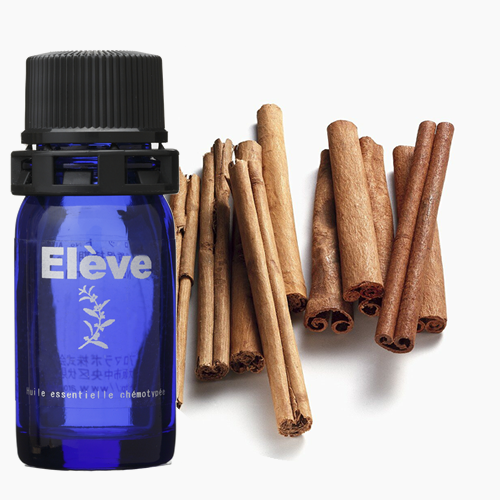 シナモン樹皮の画像