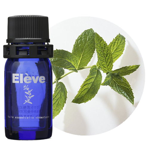 スペアミントの画像