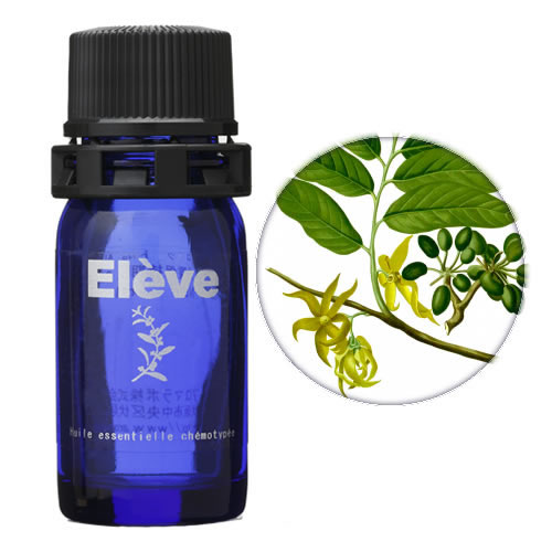 イランイラン・エクストラの画像