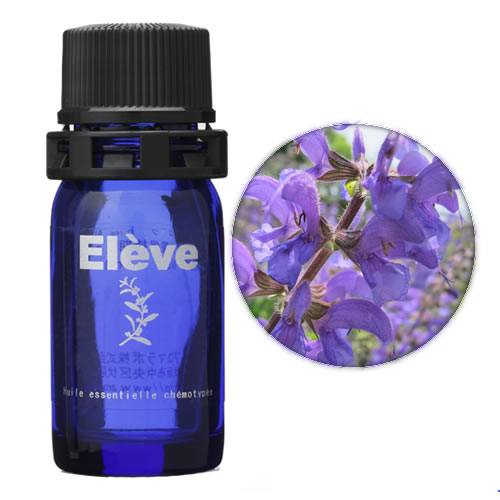 クラリセージの画像