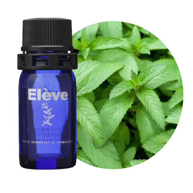 ハッカ【10ｍL】の画像