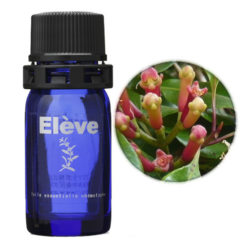 クローブの画像