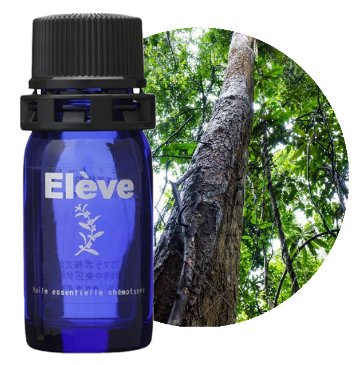 ローズウッド（オーガニック）の画像