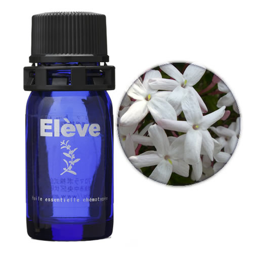 ジャスミン(アブソリュート)の画像