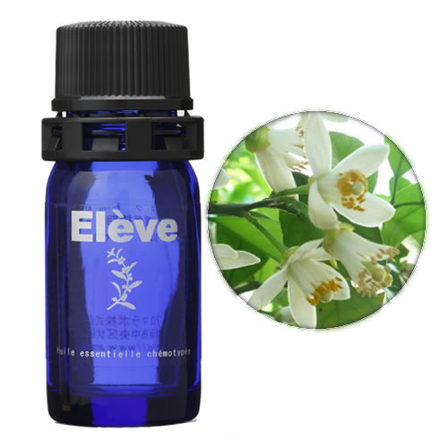 ネロリ(チュニジア)の画像