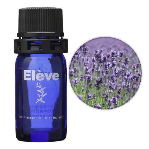 ラベンダー・グロッソ(オーガニック)の画像