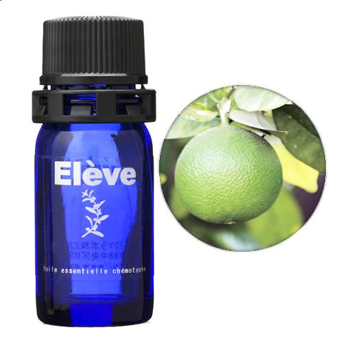 オレンジビターの画像