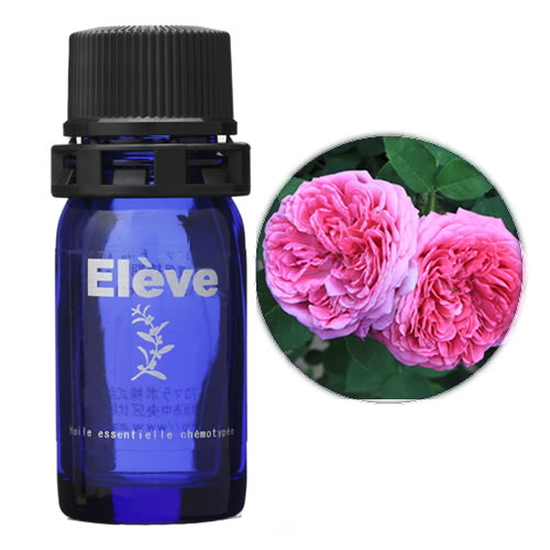 ローズ ブルガリア(アブソリュート)の画像