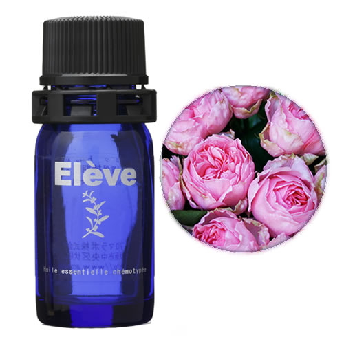 ローズ ダマスク(ブルガリア)の画像