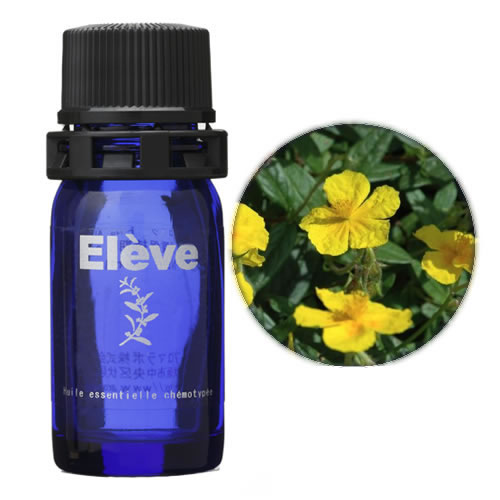 ロックローズ（シストローズ）の画像