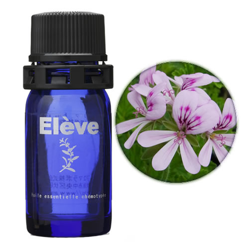 ゼラニウム・ブルボンの画像