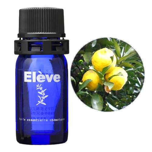 国産ユズの画像