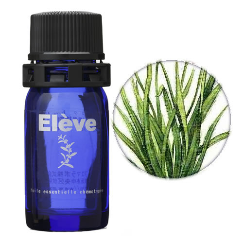 パルマローザの画像