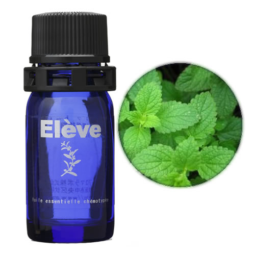 ペパーミントの画像