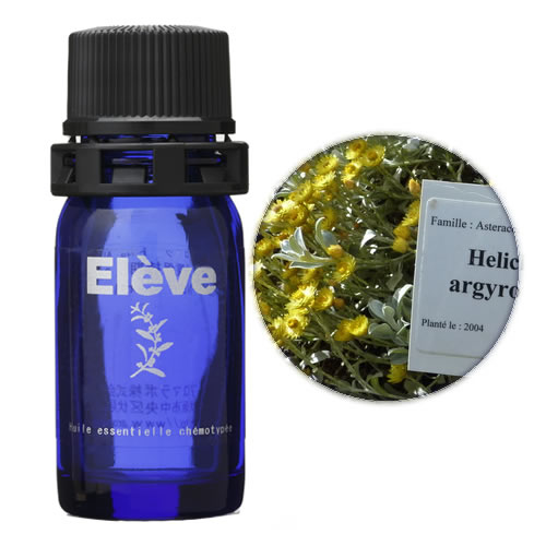 ヘリクリサム(オーガニック)の画像