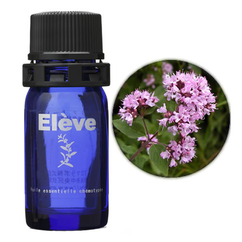 マージョラムの画像