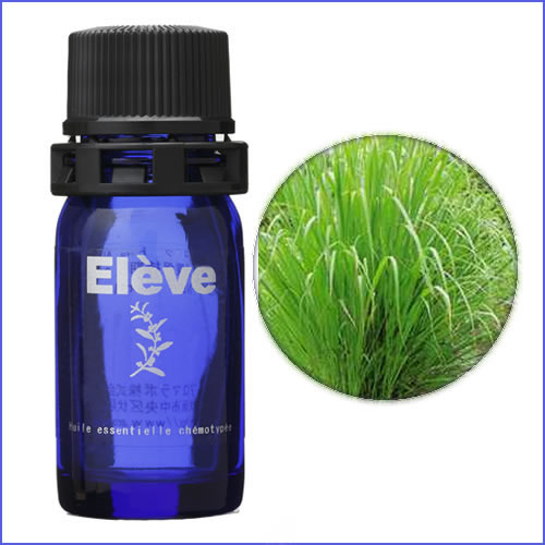 レモングラスの画像