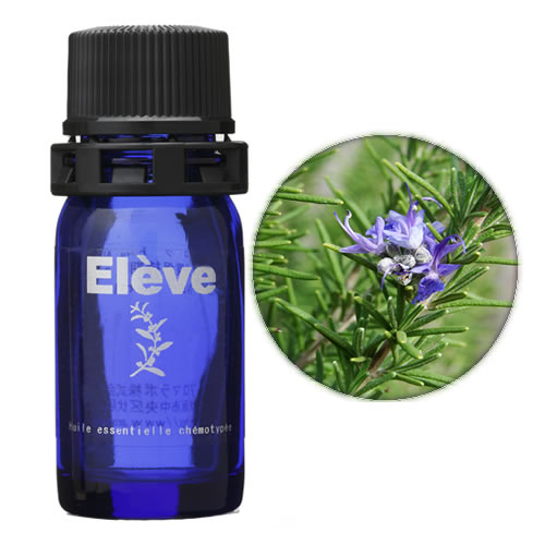 ローズマリー・ベルベノンの画像