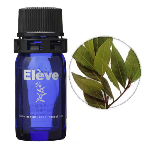 ローレルの画像