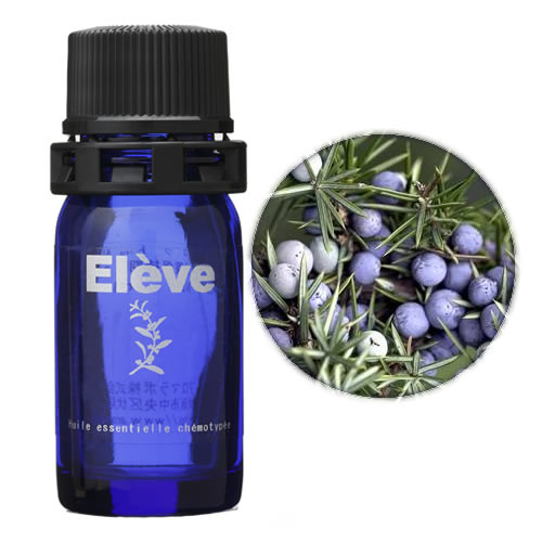 ジュニパー・ベリーの画像