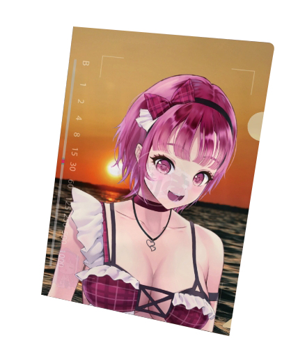 クリアファイルDの画像