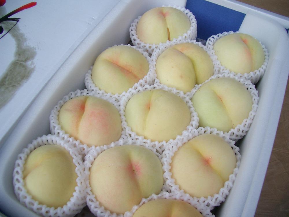 特選清水白桃【3kg】贈答用 8〜11個入りの画像