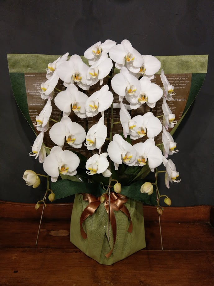 鉢花 胡蝶蘭（3本立）葬儀用画像