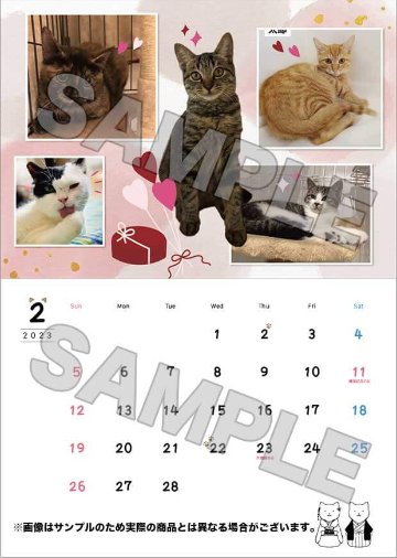 【セール!!】CAT'S INN TOKYO謹製 2023年カレンダー（A5中綴じ）画像