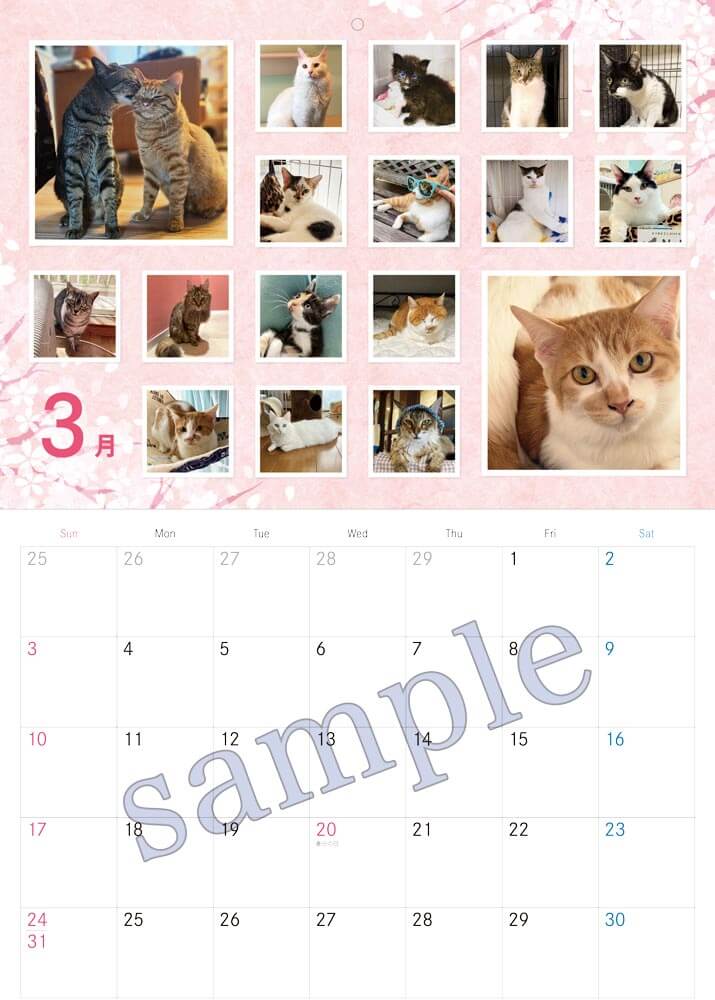 CAT'S INN TOKYO謹製 2024年カレンダー（A4中綴じ）画像