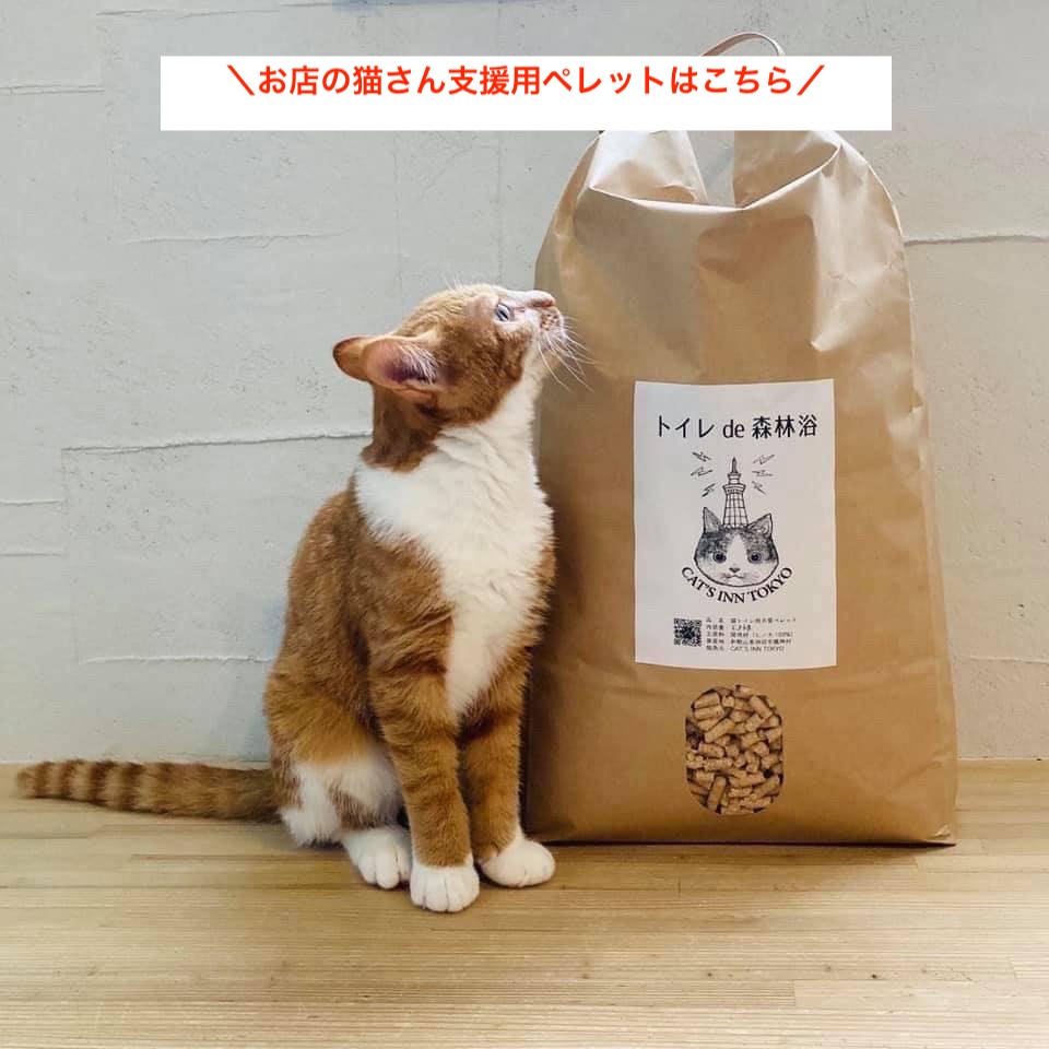 【お店の猫支援用！】トイレde森林浴の画像