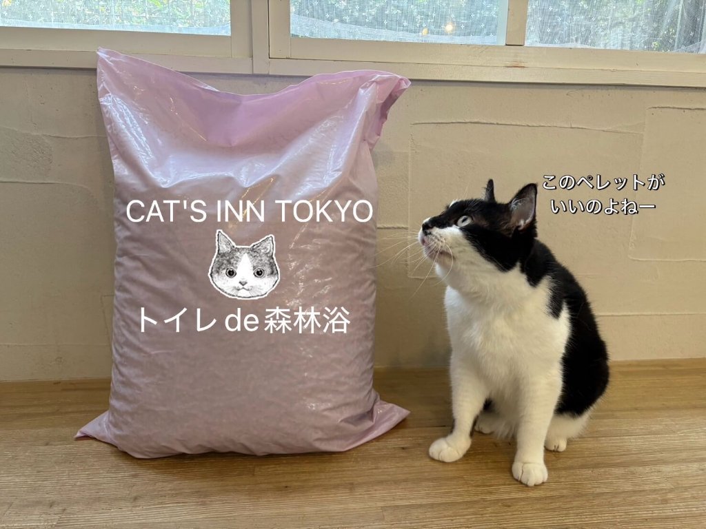 【お店猫＆シェルター猫支援】トイレde森林浴_大袋の画像