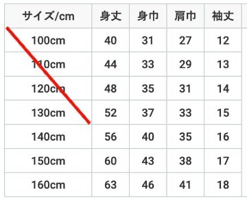 【予約〜26年5月納品】猫に忠誠を誓いますTシャツ(CITワッペン有無選択）の画像