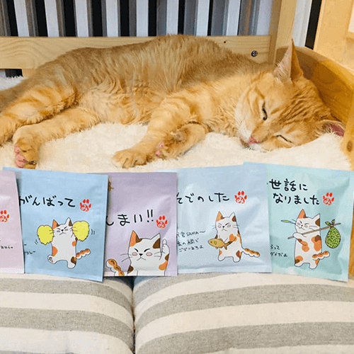 ねこ茶（ねこちゃ）知覧茶/ほうじ茶の画像