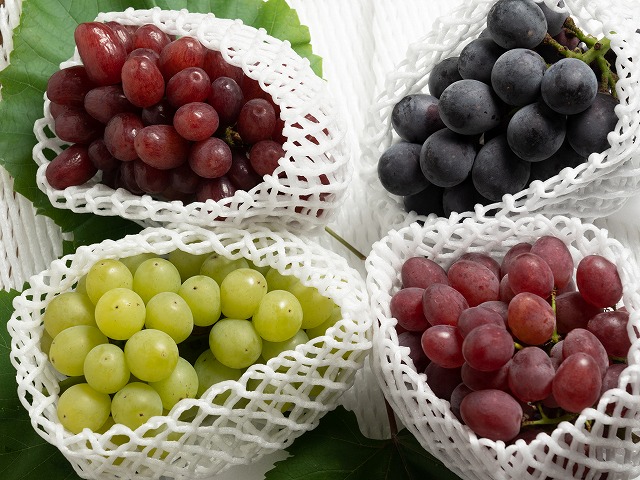 8月のぶどう彩りセットC（贈答用4房箱）の画像