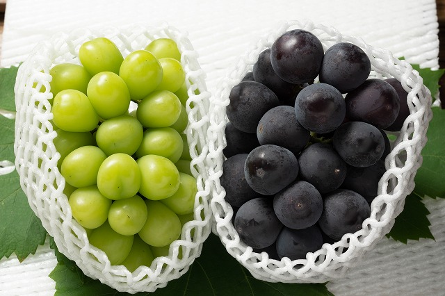 9月のぶどう彩りセットI（贈答用2房箱）の画像