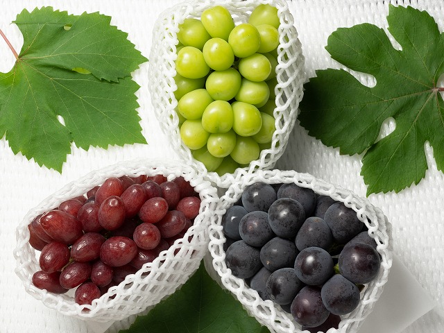 9月のぶどう彩りセットJ（贈答用3房箱）の画像