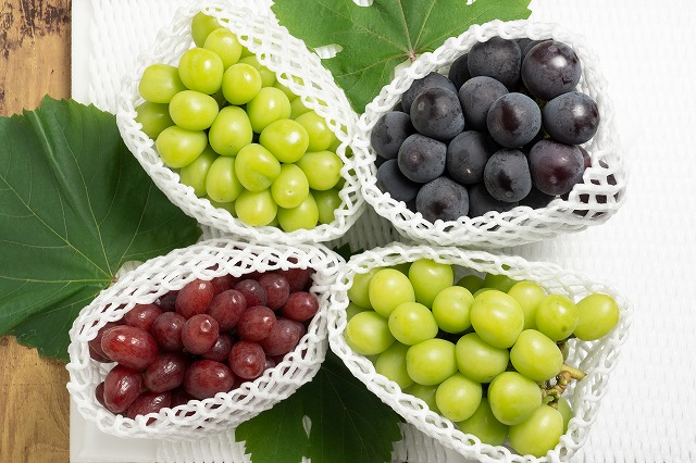 9月のぶどう彩りセットK（贈答用4房箱）の画像