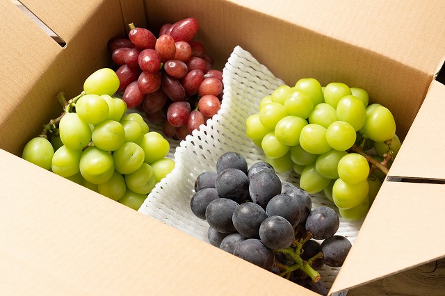 9月のご自宅用2㎏箱（2㎏、4房）の画像