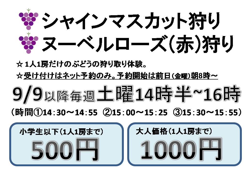 9月16日ぶどう狩り　②15時00分～15時25分迄の画像